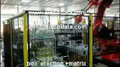 WINE BOXING BOTTLE ROBOT PACKER -Vino inscatolamento automatico