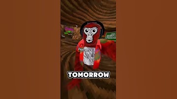 Joining My Fancode Until 2K! (Day 4) #gorillatag #vr