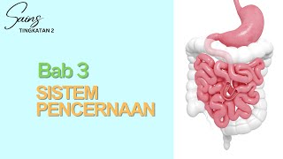 SAINS BAB 3 : Sistem Pencernaan Manusia