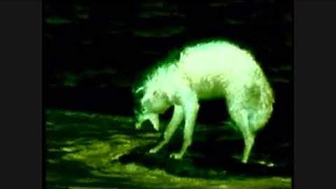 5F-X - 29 Mhz x V=(π/cos α)