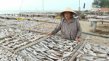 Làng cá khô Phước Hải vào mùa vụ Tết | BRTgo