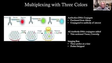 CODEX Multiplexed Fluorescence Imaging at the ICBM