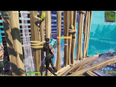【ANIMA】キル集　【フォートナイト/Fortnite】