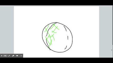 The Cell Cortex - Review