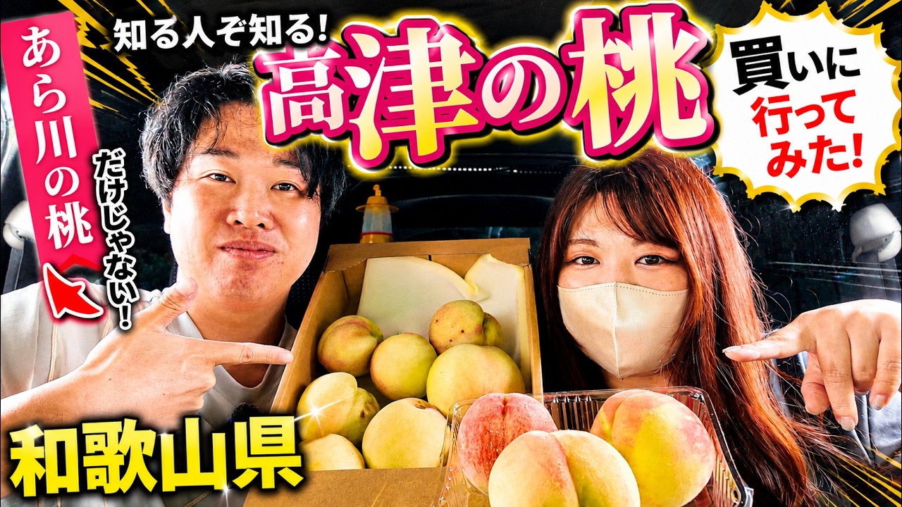 【桃シーズン到来】あら川の桃ではない和歌山の知る人ぞ知る高津の桃とは？