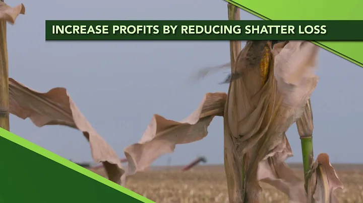 Iron Talk #1119 Improve profits by reducing shatter loss  (AIR DATE 9-15-19)