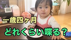 1歳児みさきチャンネル Youtube