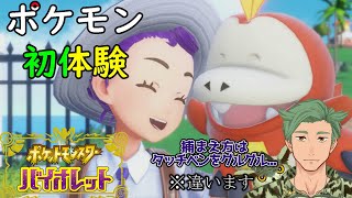 ポフィン作りとコンテストだけやったことある男のポケモン【ポケットモンスタースカーレット/バイオレット】