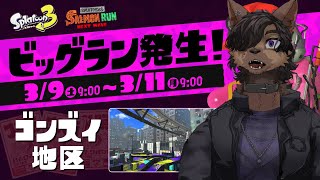 【Splatoon３】初めてのビッグラン！