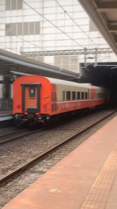 667次經由北迴線/宜蘭線/山線/屏東線開往潮州的E200型車號E206電頭自動門莒光號進入新左營站 YouTube