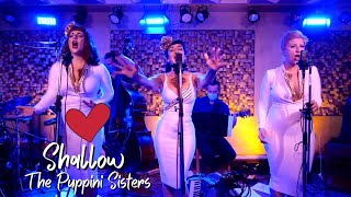 Video thumbnail of "Shallow LIVE (Lady Gaga and Bradley Cooper Jazz Cover) - The Puppini Sisters"