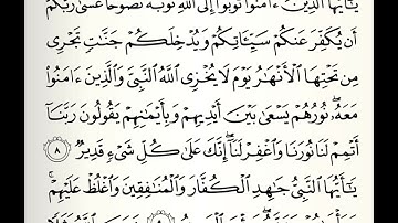 سورة التحريم القارئ راشد بن أحمد الأركاني