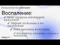 Воспаление | Патологическая анатомия