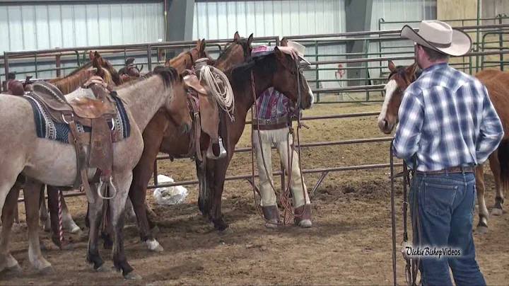 Jamison Ranch Quarter Horses - Buster McLaury Clin...