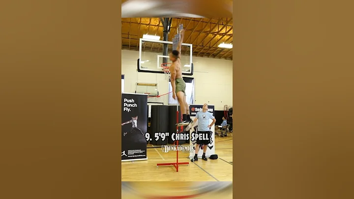 Top 10 Highest Jumpers in the World!