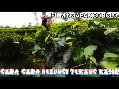 FILM NGAPAK COBOLO GARA GARA NULUNGI TUKANG KASIR YouTube