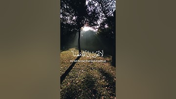 اكتب شيء تؤجر عليه❤️🌿||عبدالرحمن مسعد 😴🎧  #خشوع #تلاوة_خاشعة #راحة_نفسية