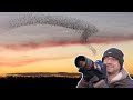 Bird Photography - Photographing a Starling Murmuration