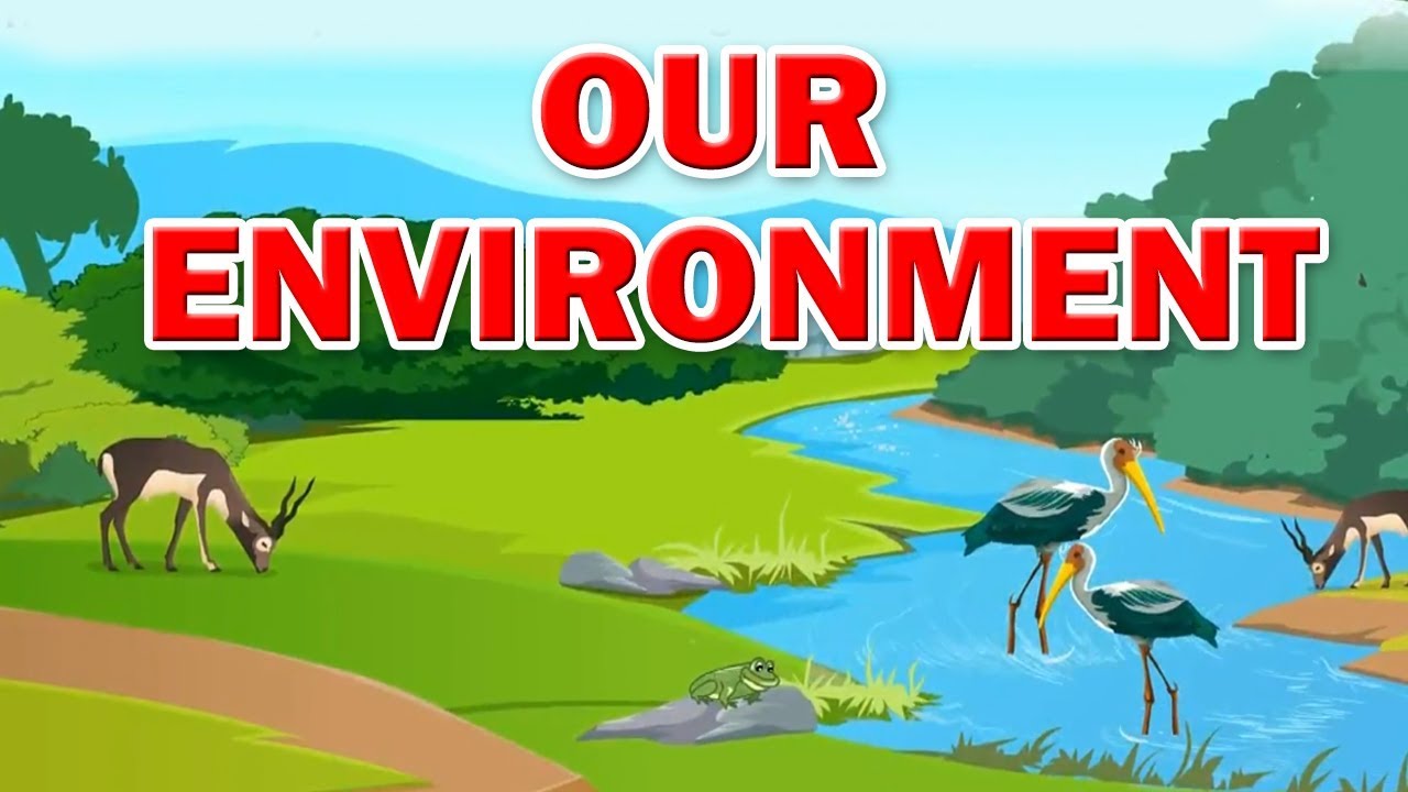 Class 3 | Our environment | EVS | English Medium | Maharashtra ...