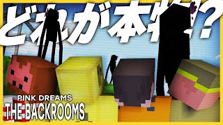 全員が化け物を召喚しすぎてもう分けわからん【マイクラ/THE BACK ROOMS PINK DREAM】