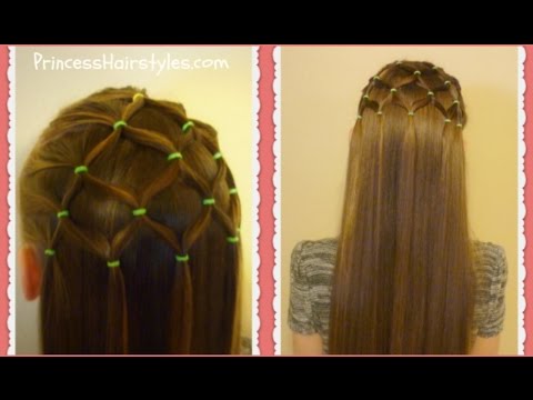 فيديو: كيفية صنع شجرة شعر