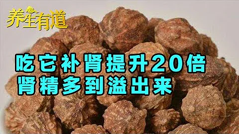 激活腎臟的閥門 一種可固腎的美味食物 精力充沛、延緩衰老 補腎固精直接提升20倍 越吃越年輕【養生有道2020】 - 天天要聞