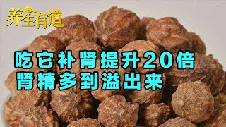 激活肾脏的阀门 一种可固肾的美味食物 精力充沛、延缓衰老 补肾固精直接提升20倍 越吃越年轻【健康养生堂】