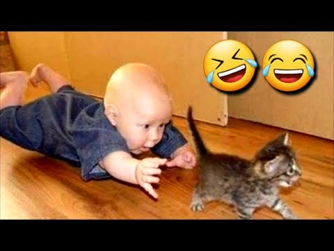 laughs-from-your-heart---funny-positions-kids---very-funny-for-children-2019