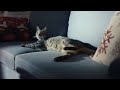 Walmart Holiday Commercial | "Christmas Morning"