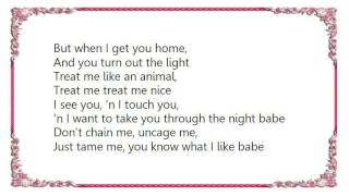 John Parr - Treat Me Like an Animal Lyrics