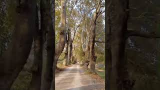 22/10/25 Gölbaşı Dudaklı Kestel Bursa Çınarlı Yol Resimi