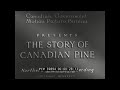 1940s CANADIAN LUMBER INDUSTRY FILM  "STORY OF CANADIAN PINE" 59894