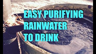 Rainwater  Is It Safe To Drink? EASY How To Rainwater Filtration