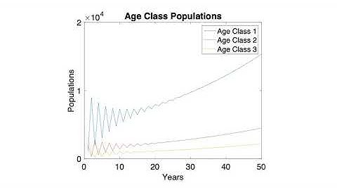 6G7Z3001 Leslie Model