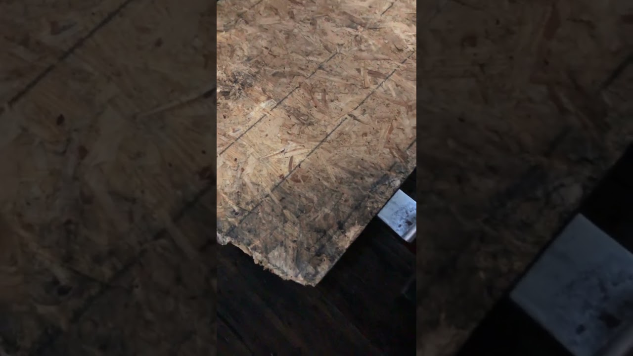 UNDERGROUND GAMBLING AT RL CARRIER😂😂😂