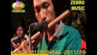 Yuznia Zebro - Edan Turun, zebro music maharta