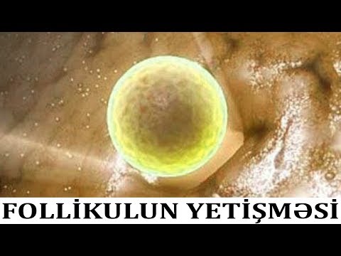 Video: Niyə xorionik gonadotropin qəbul etmək lazımdır?