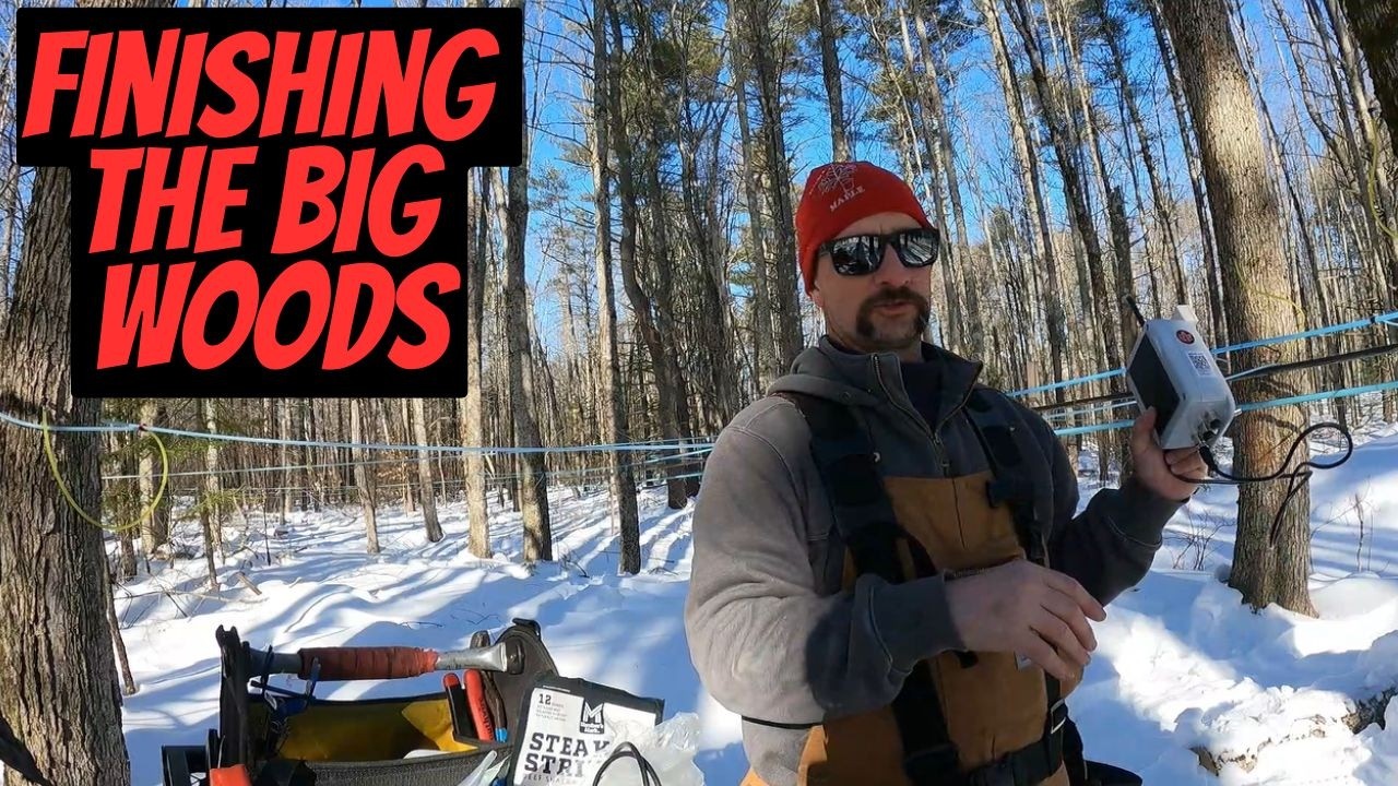 В большом лесу наконец-то готово производство кленового сиропа.