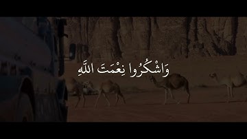 تلاوة القرآن - نيوار الكردي 🤎🎧 سورة النحل { فَكُلُوا مِمَّا رَزَقَكُمُ اللَّهُ حَلَالًا طَيِّبًا }