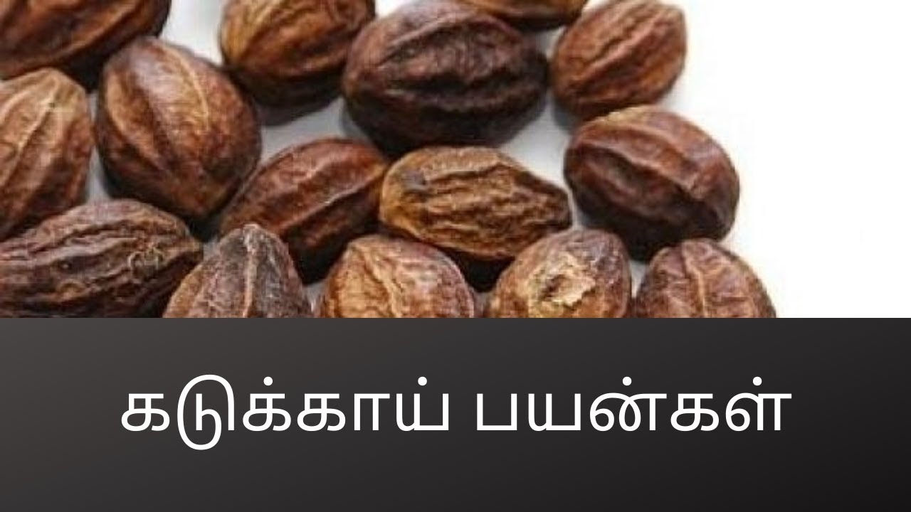 கடுக்காய் பயன்கள் 