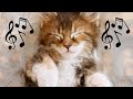 ♬ Deep cat lullaby with stress and anxiety & Cat purring sounds