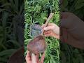Investigating a defect. #wood #carving #woodworking #diy #woodcarving #maker #spoon