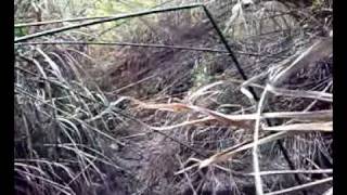 perdiendome en la selva de Almeria
