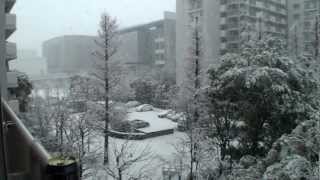 2013-01-14　東京・江東区東陽町　雪が降りました。