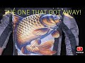 BIG CARP ON BFS! Fishing an Urban Lake for MUD MARLIN