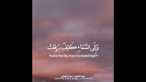 حالات واتس آب .. أفلا ينظرون الى الإبل كيف خلقت القارئ هزاع البلوشي