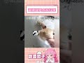 道德和笑点在打架