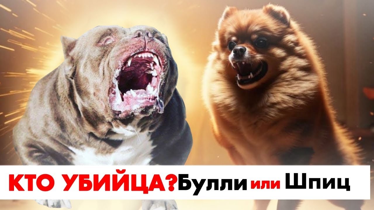 Нападения собак мелких пород