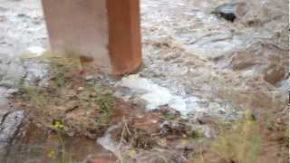 The loudest thunder in the world (in HD)