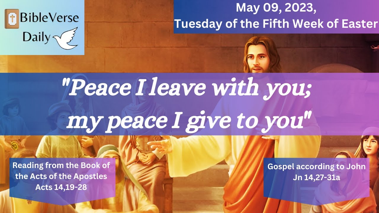 Reading of the day | Gospel of the Day | Words of the Holy Father